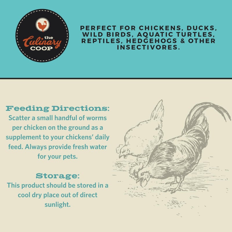 Fluker's Culinary Coop Premium Chicken Treats, Dried Insect Trail Mix, 20 oz - Image 3